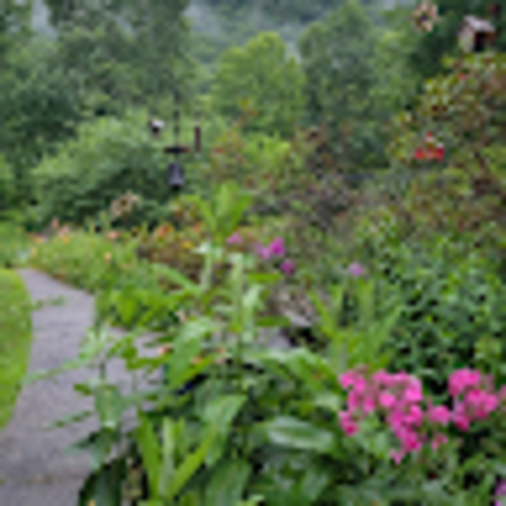 Meet your Posher, Patty